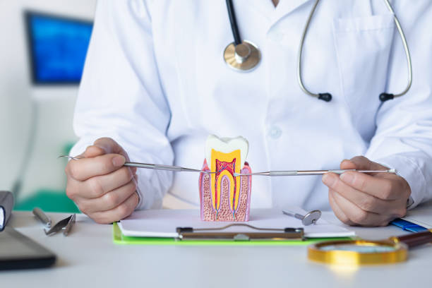 Best Emergency Treatment for Dental Infections or Abscesses in Madison, MN
